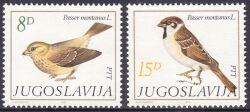 1982  Fauna: Sperlinge