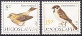 1982  Fauna: Sperlinge