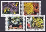 1985  Flora: Algen
