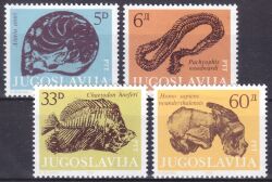 1985  Museumsexponate: Fossilien
