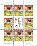 1990  Fußball-Weltmeisterschaft in Italien