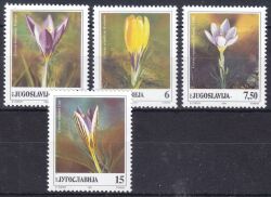 1991  Flora: Krokusse