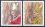 2005  Tod von Papst Johannes Paul II. und Wahl seines Nachfolgers