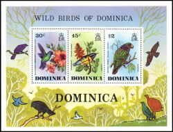 Dominica 1976  Einheimische Vögel
