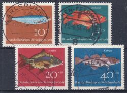 1964  Jugend: Fische
