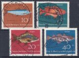 1964  Jugend: Fische