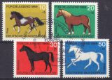 1969  Jugend: Pferde
